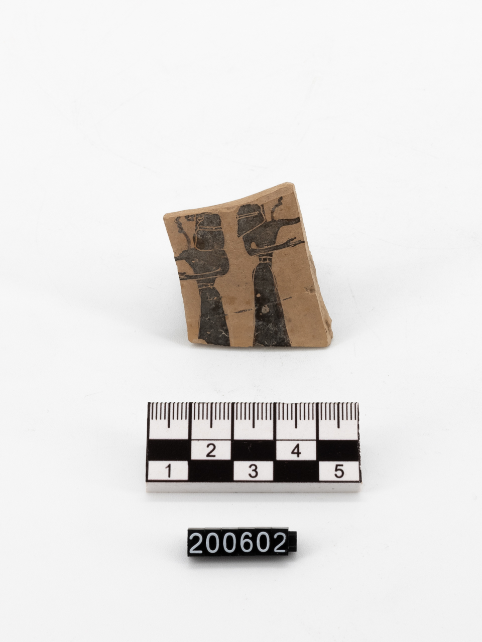 parete - ambito greco-orientalizzante (metà SECOLI/ VII a.C)