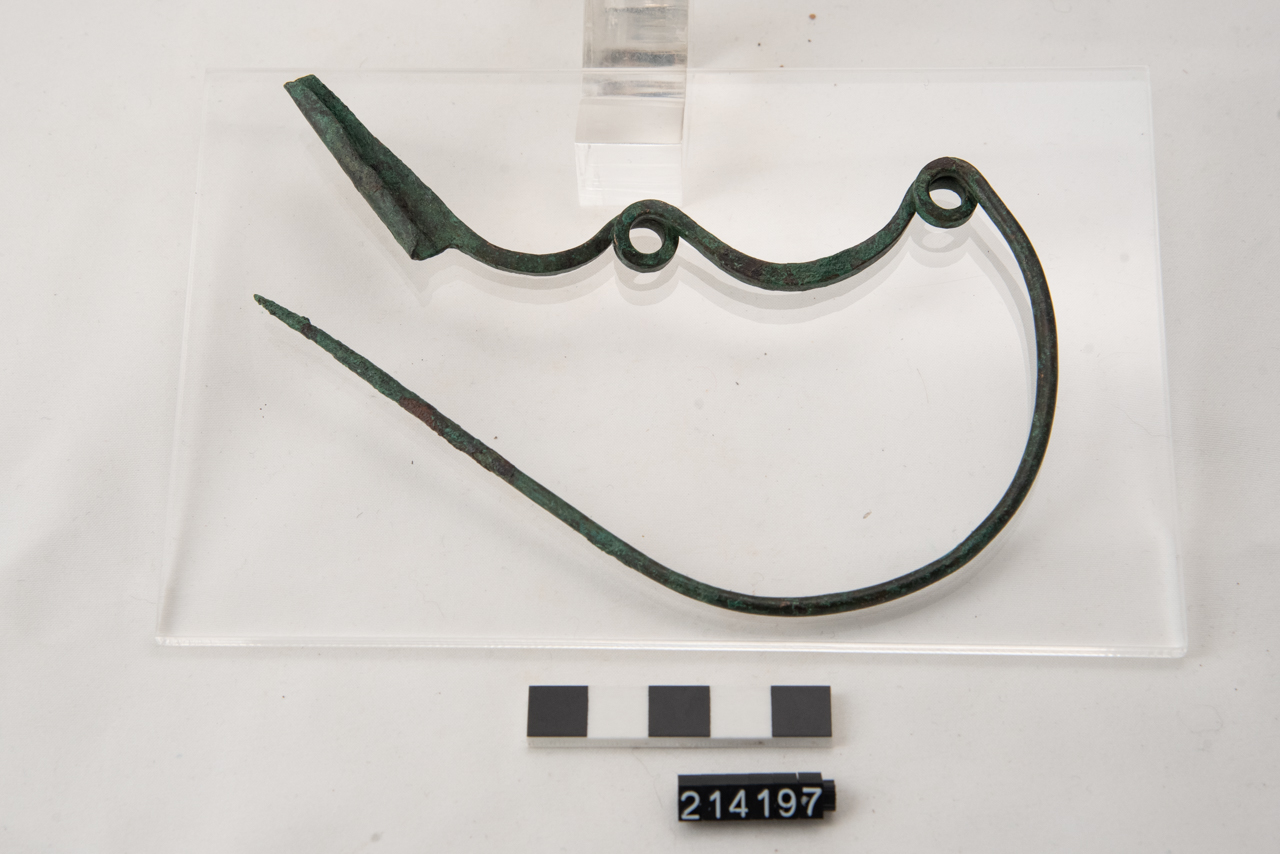 fibula/ serpeggiante - ambito enotrio (SECOLI/ VIII a.C)