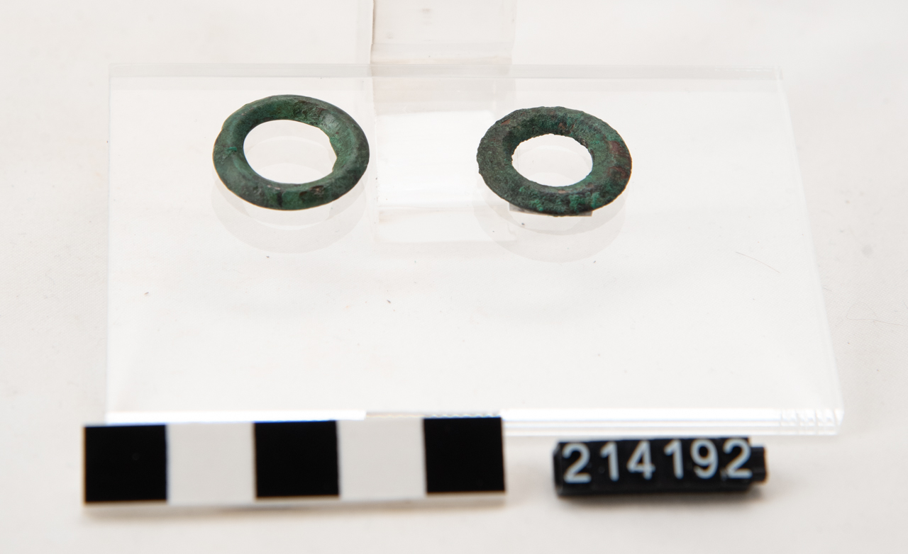 anello - ambito enotrio (SECOLI/ VIII a.C)