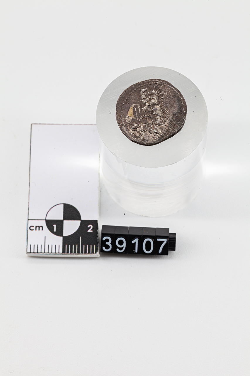 moneta - Denario (SECOLI/ I a.C)