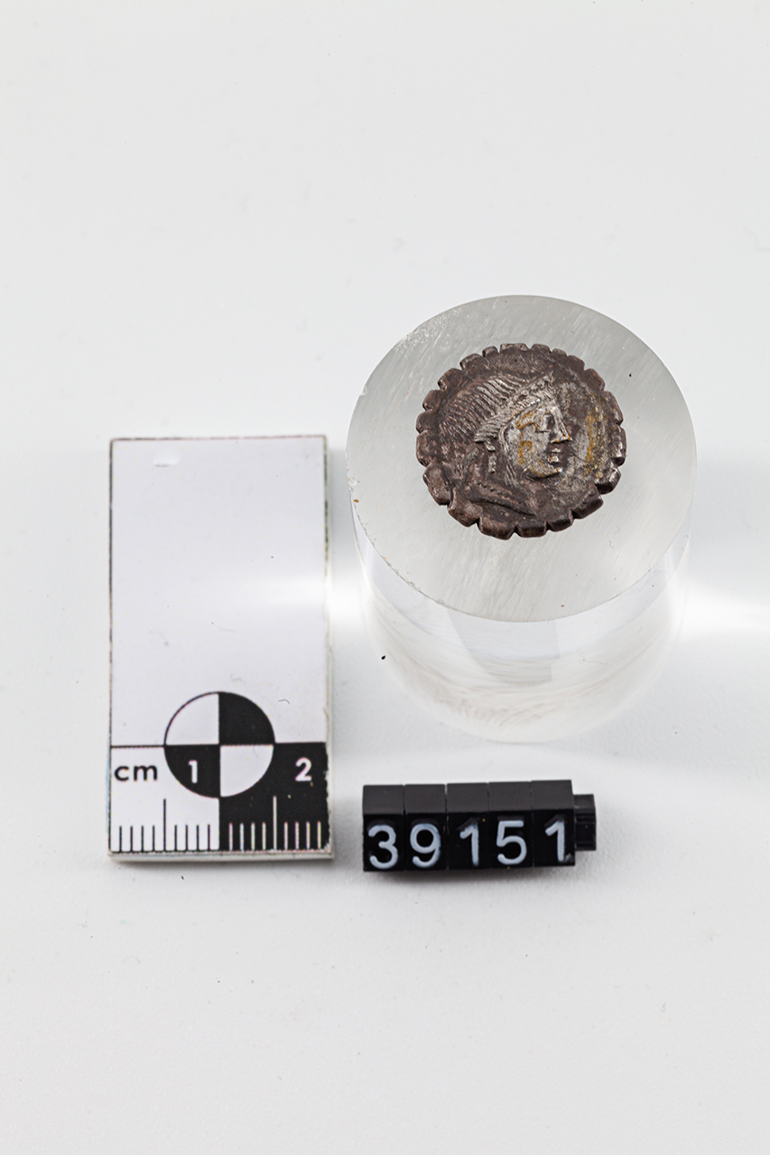 moneta - Denario (SECOLI/ I a.C)