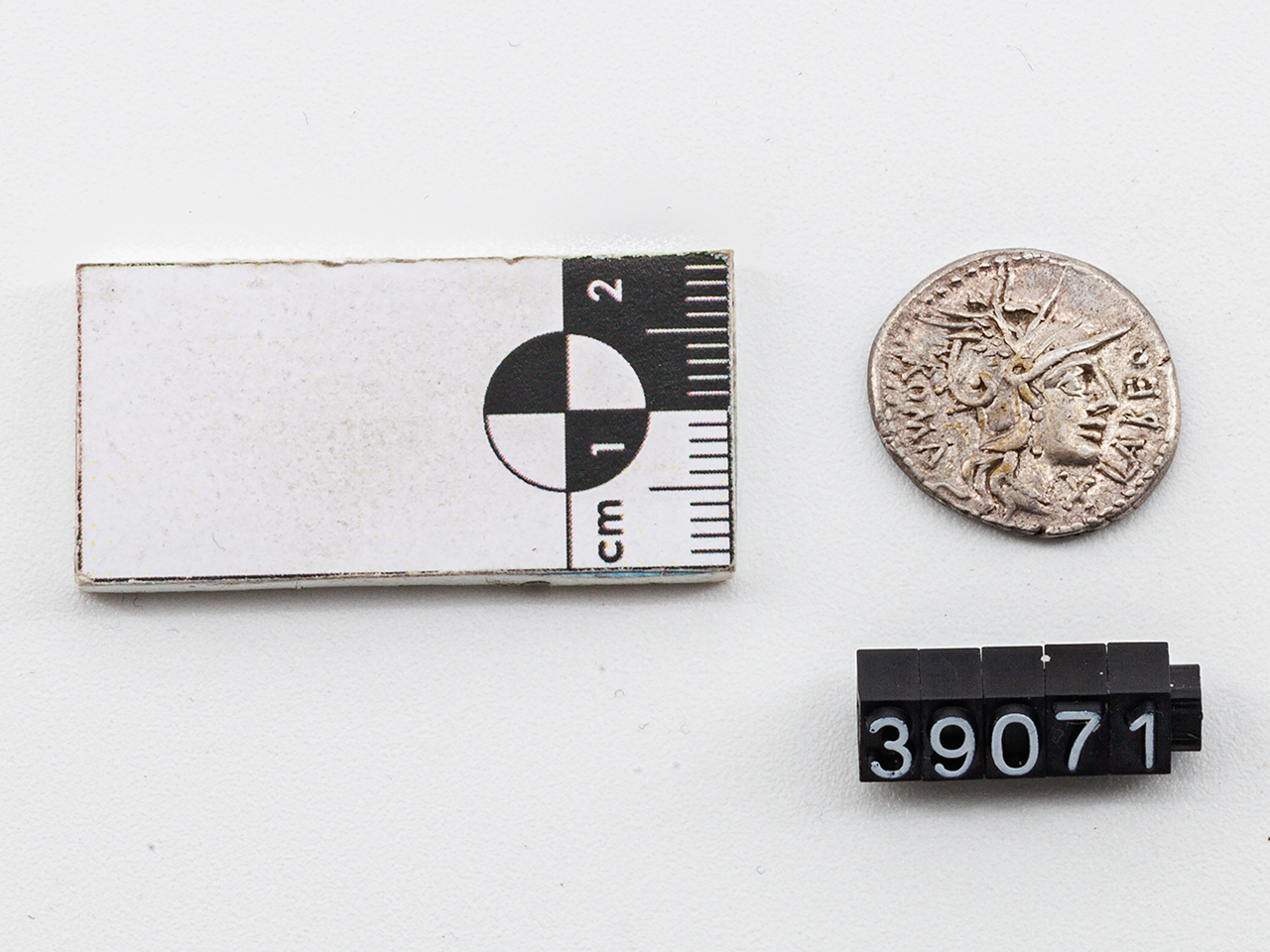 moneta - Denario - ambito romano (II-I sec. a.C)