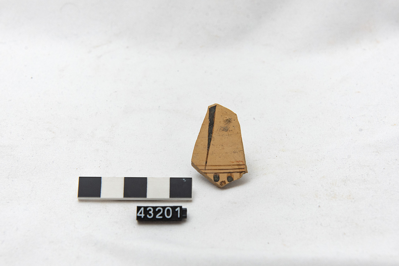 pisside/ parete (PERIODIZZAZIONI/ STORIA/ Età antica/ Età greca/ Età greca arcaica)