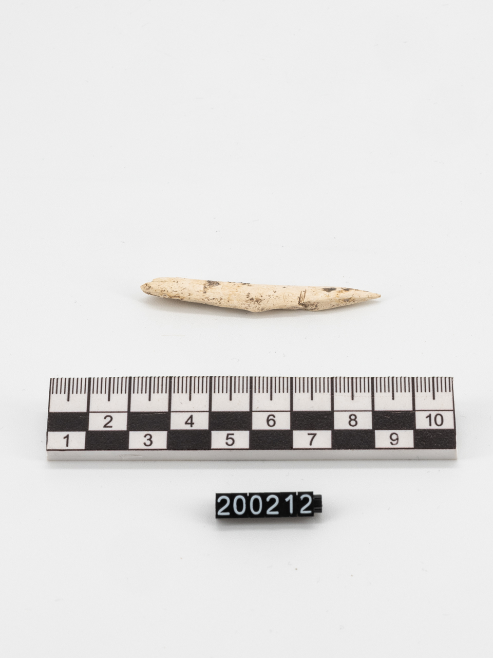 punteruolo (fine MILLENNI/ IV millennio a.C)