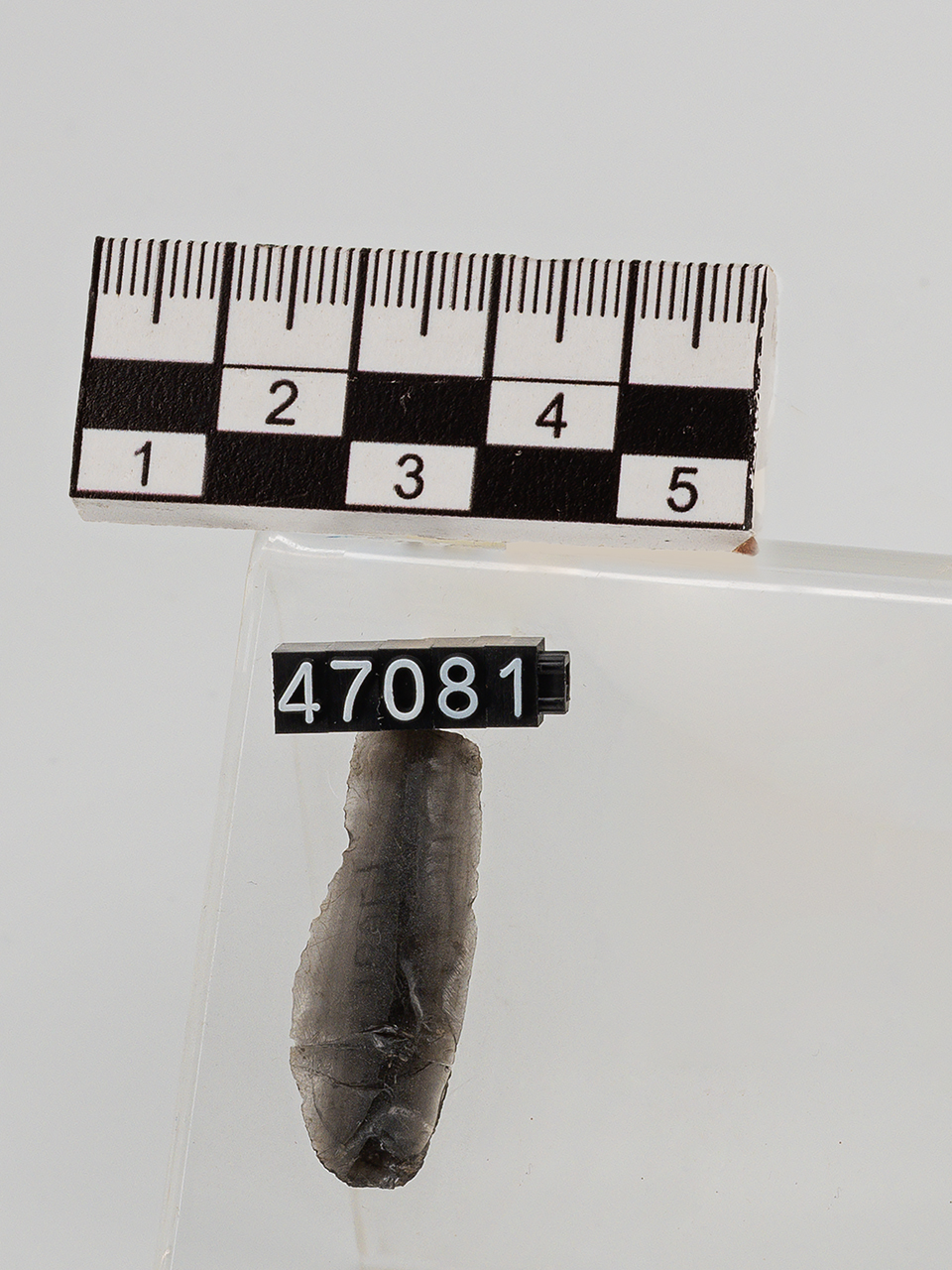 raschiatoio (ca PERIODIZZAZIONI/ PREISTORIA/ Neolitico)