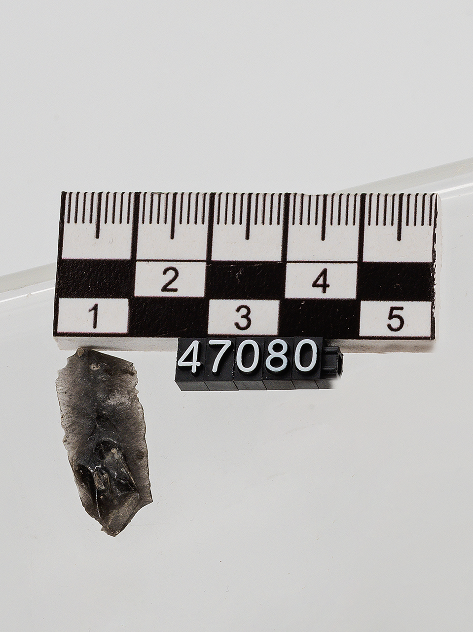 raschiatoio (ca PERIODIZZAZIONI/ PREISTORIA/ Neolitico)