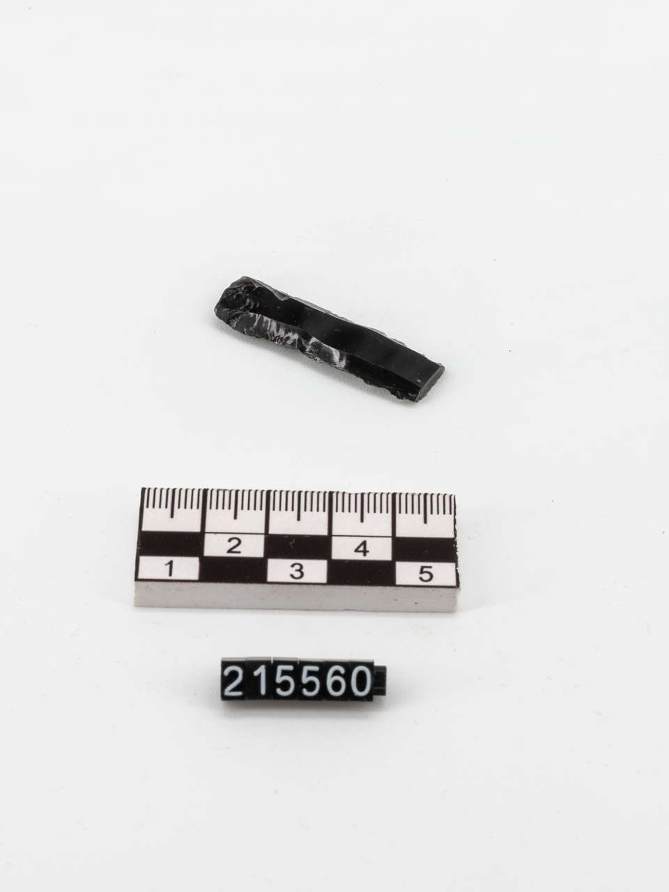 lama (PERIODIZZAZIONI/ PREISTORIA/ Neolitico)