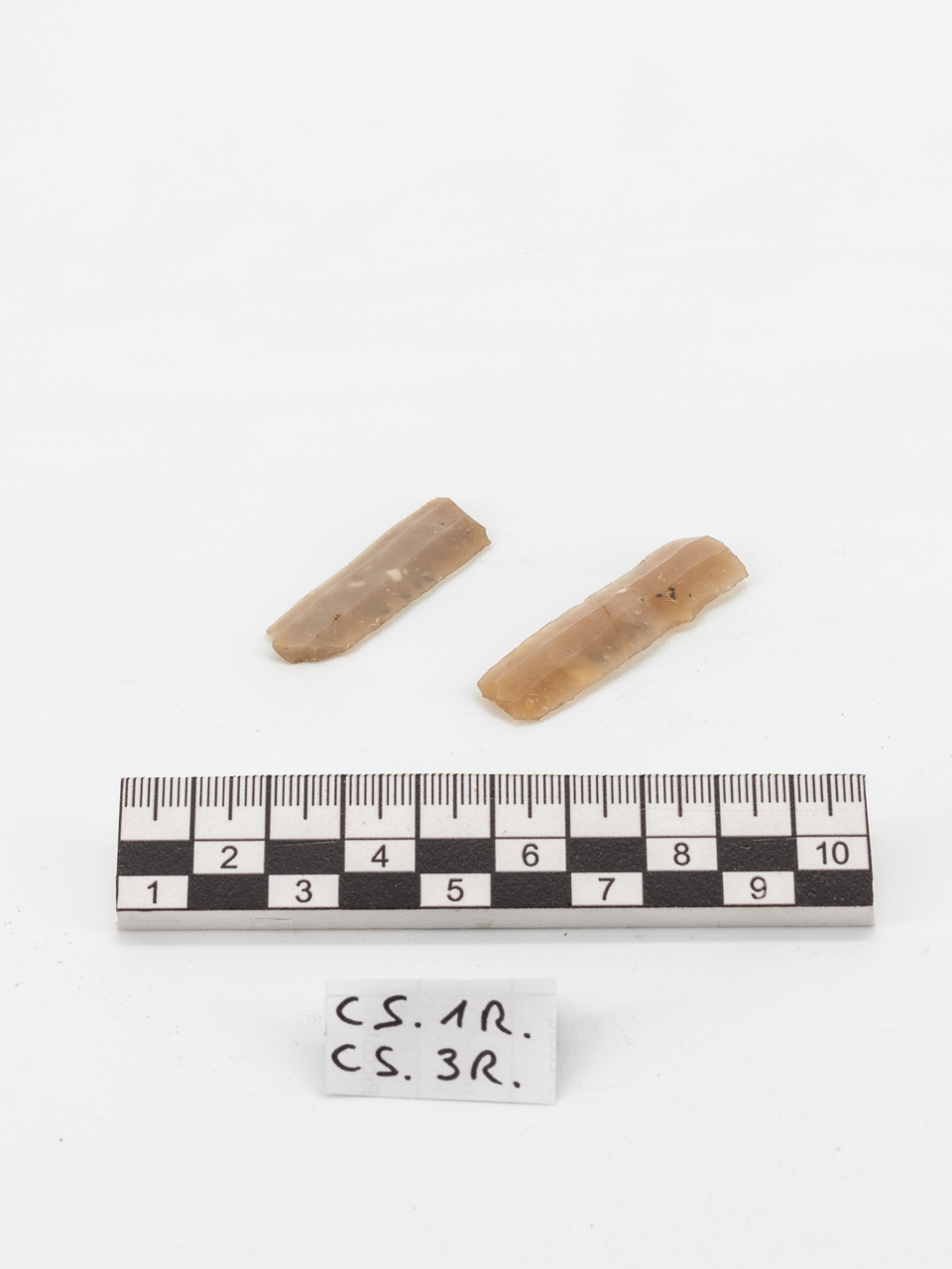 lama (PERIODIZZAZIONI/ PREISTORIA/ Neolitico)