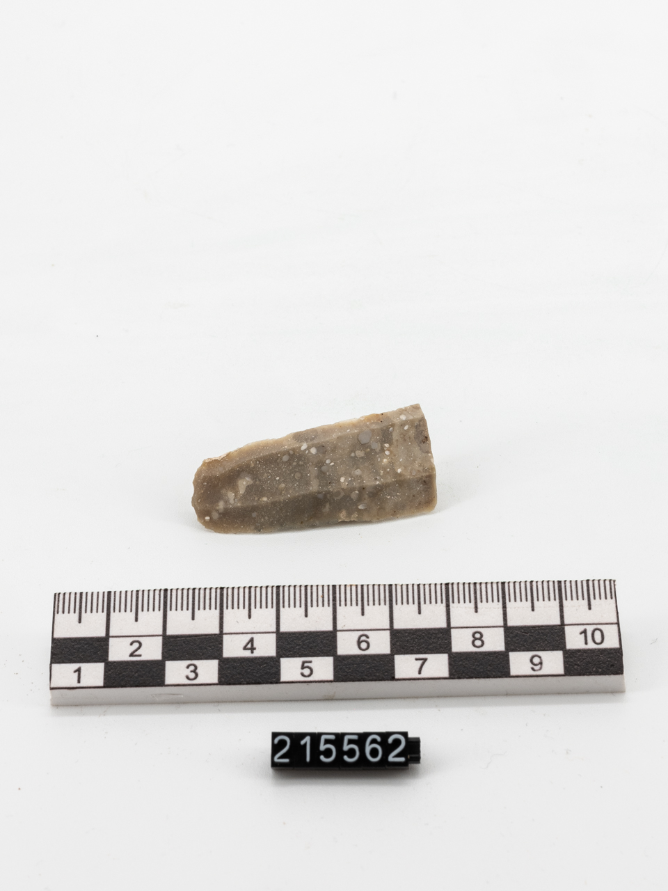 lama (PERIODIZZAZIONI/ PREISTORIA/ Neolitico)