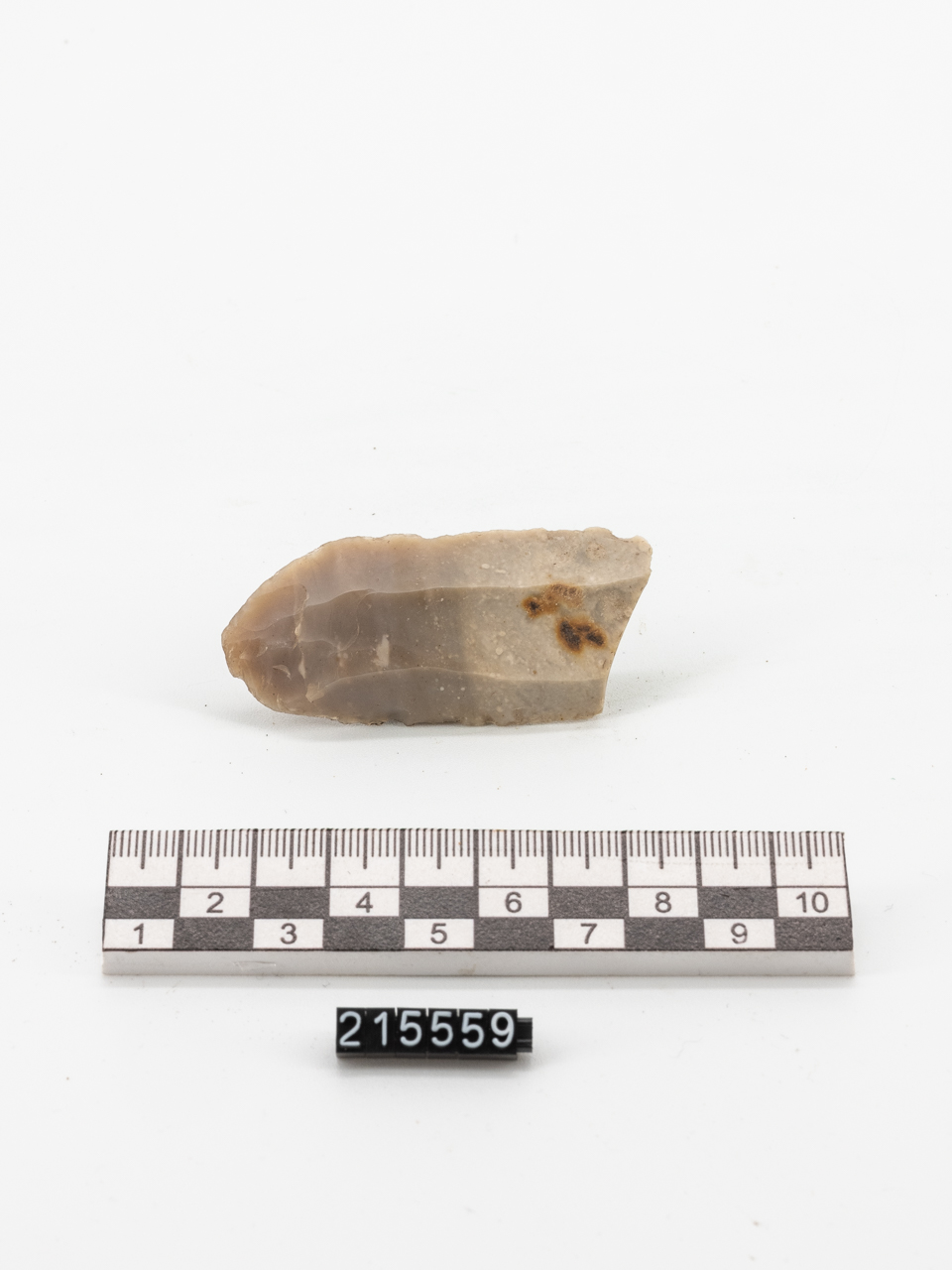 lama (PERIODIZZAZIONI/ PREISTORIA/ Neolitico)