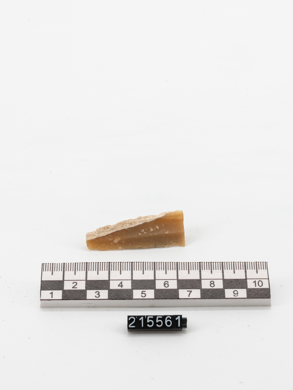 lama (PERIODIZZAZIONI/ PREISTORIA/ Neolitico)