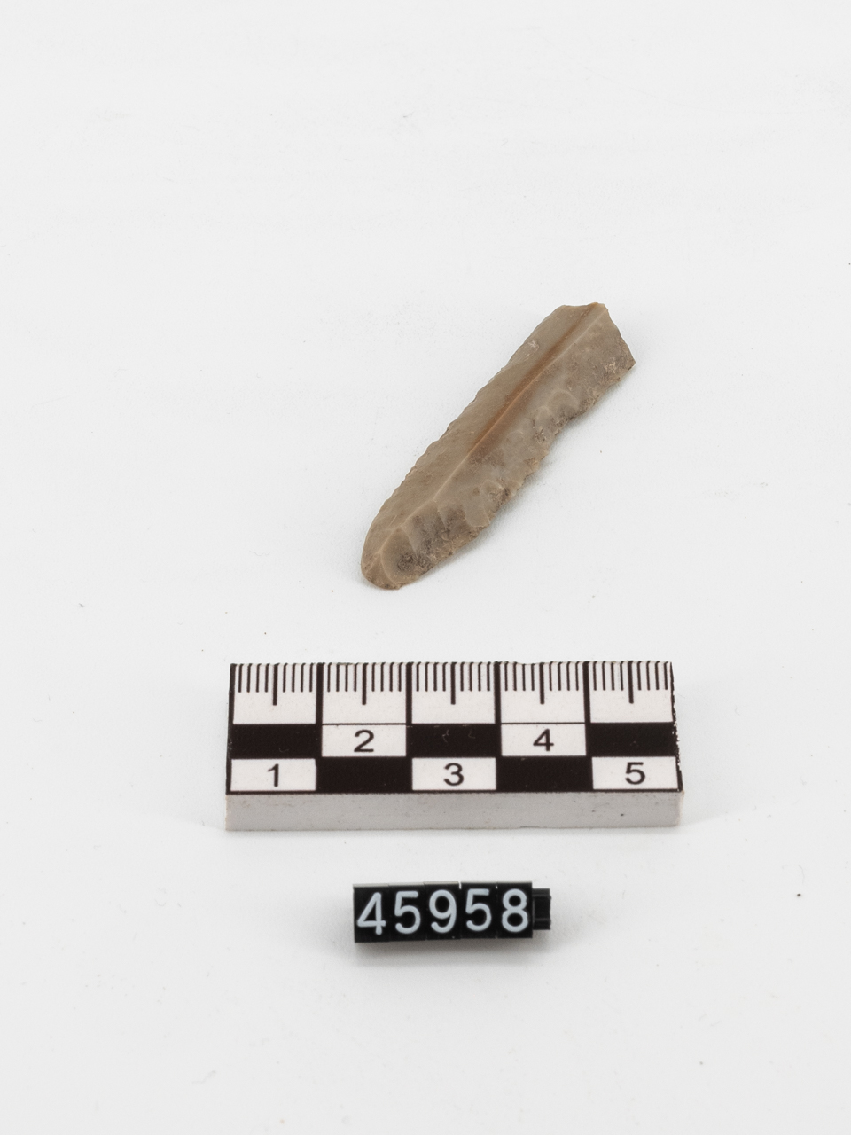 lama (PERIODIZZAZIONI/ ARCHI DI PERIODI/ Età del Bronzo medio-Età del Bronzo finale)