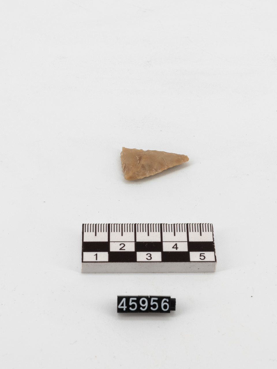 freccia/ punta (PERIODIZZAZIONI/ ARCHI DI PERIODI/ Età del Bronzo medio-Età del Bronzo finale)