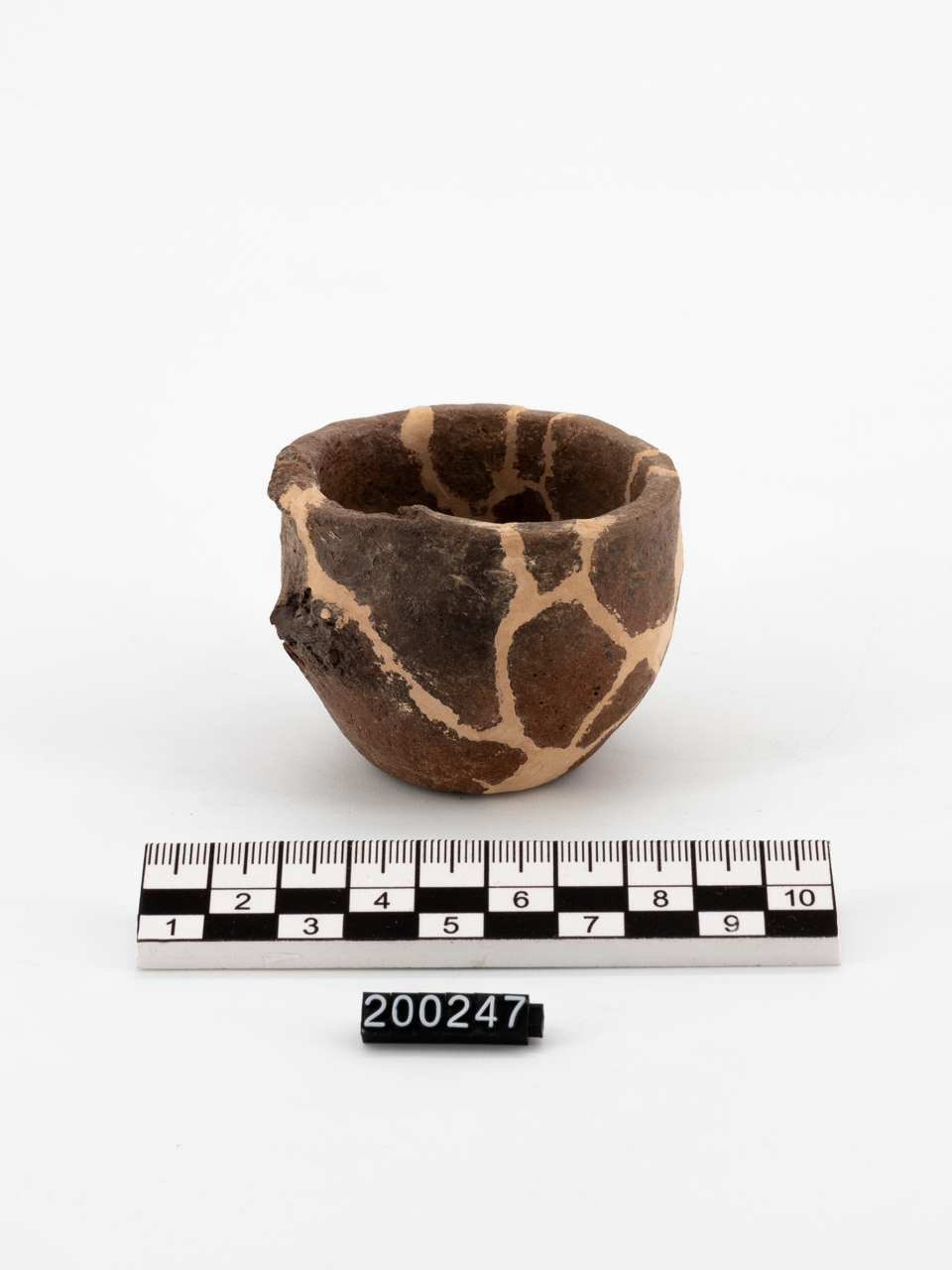 vaso (PERIODIZZAZIONI/ PROTOSTORIA/ Età del Bronzo)