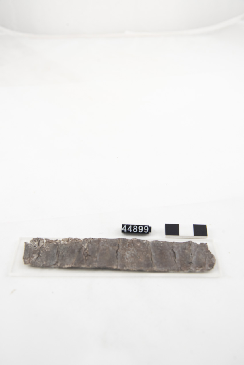 lamina (fine SECOLI/ IV a.C)