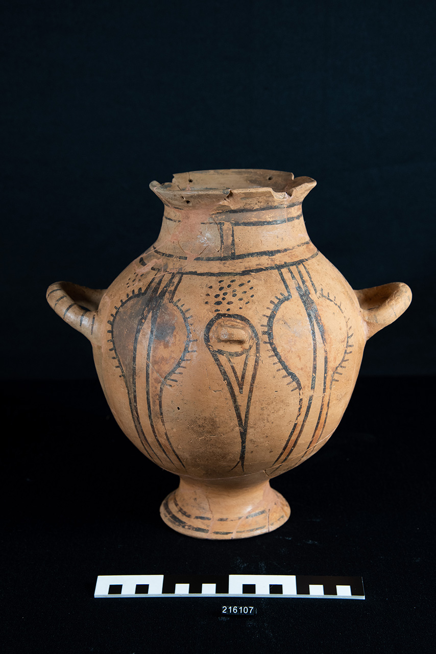 olla/ biansata (prima metà SECOLI/ V a.C)