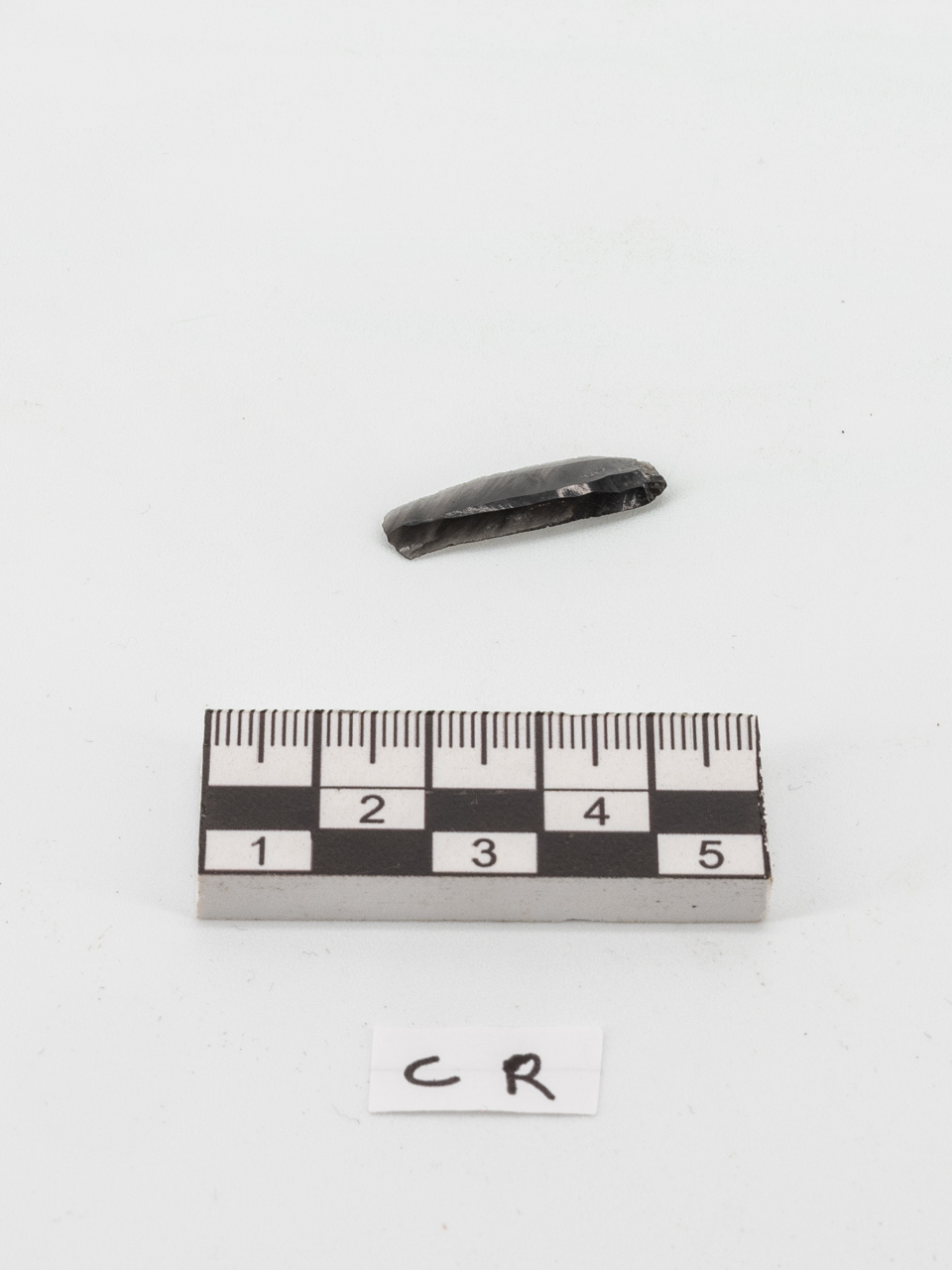 lama (PERIODIZZAZIONI/ PREISTORIA/ Neolitico)