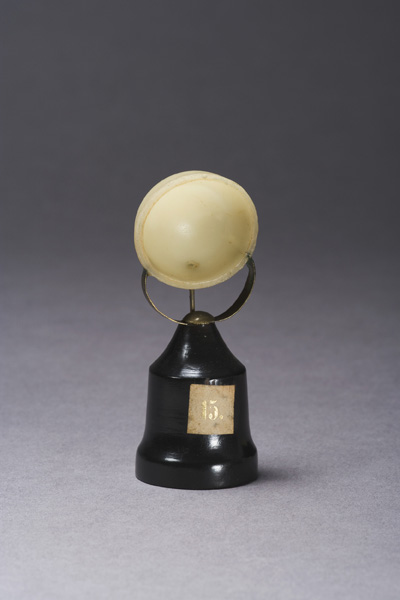 EMBRIONE DI ZIEGLER, sviluppo dell'embrione umano (modello anatomico, opera isolata) di Ziegler, Friedrich (laboratorio) (fine XIX)