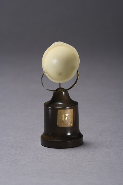 EMBRIONE DI ZIEGLER, sviluppo dell'embrione umano (modello anatomico, opera isolata) di Ziegler, Friedrich (laboratorio) (fine XIX)