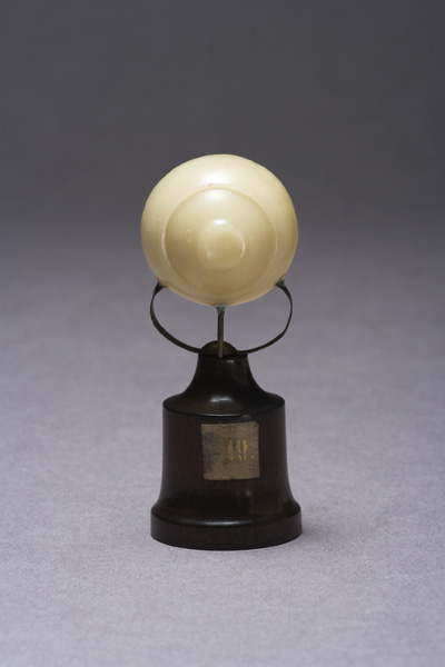 EMBRIONE DI ZIEGLER, sviluppo dell'embrione umano (modello anatomico, opera isolata) di Ziegler, Friedrich (laboratorio) (fine XIX)