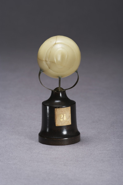 EMBRIONE DI ZIEGLER, sviluppo dell'embrione umano (modello anatomico, opera isolata) di Ziegler, Friedrich (laboratorio) (fine XIX)