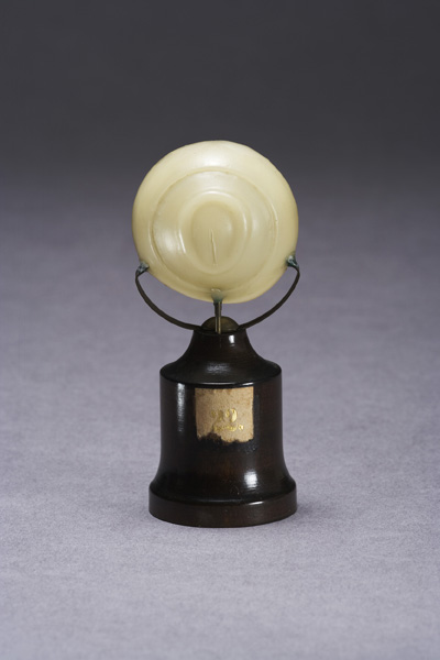 EMBRIONE DI ZIEGLER, sviluppo dell'embrione umano (modello anatomico, opera isolata) di Ziegler, Friedrich (laboratorio) (fine XIX)