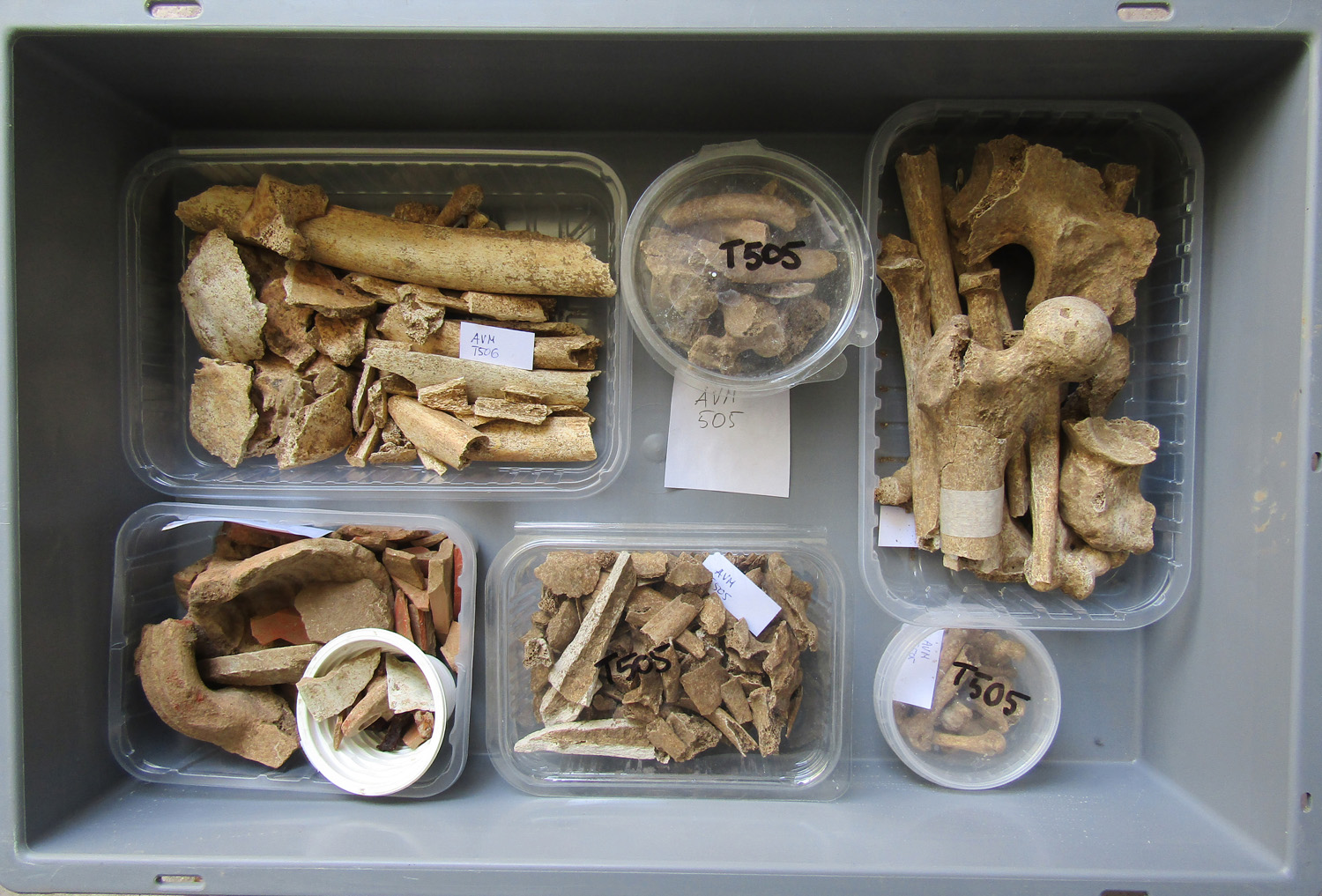 reperti antropologici pertinenti a un unico individuo, reperto osseo (morfologia naturale, inumato) (PERIODIZZAZIONI/ STORIA/ Età antica/ Età romana/ Età romana imperiale)