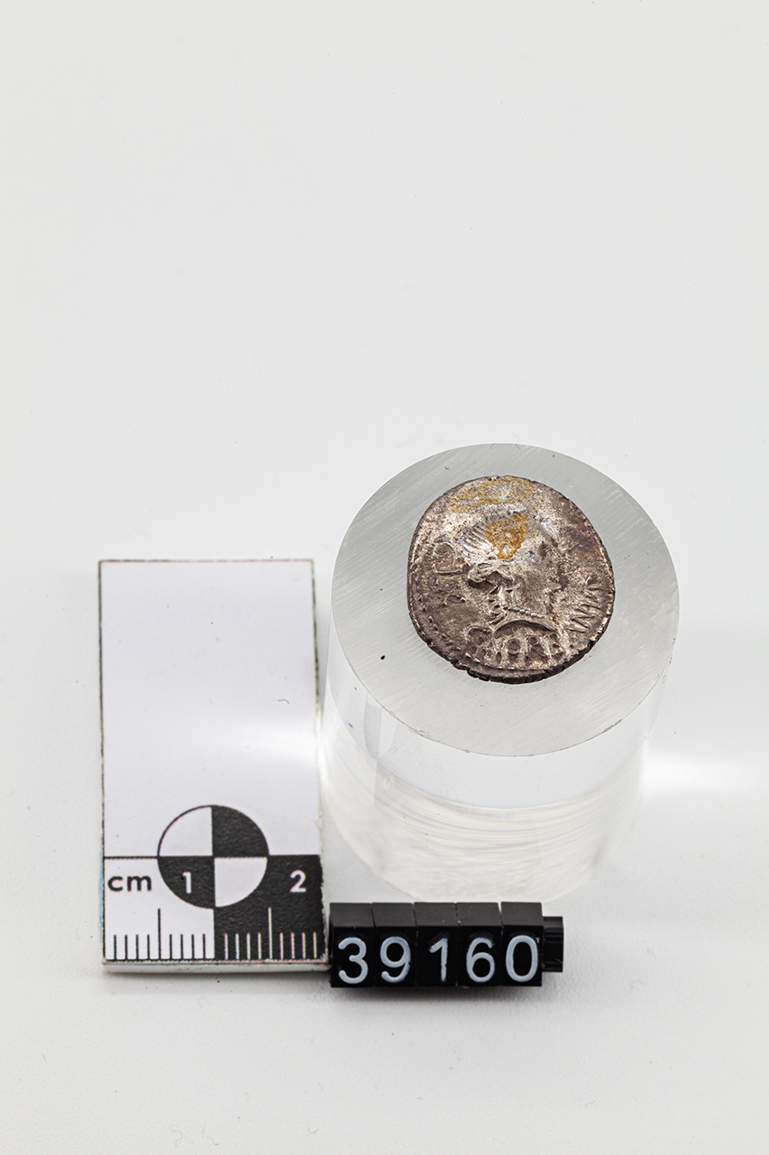 moneta - Denario (SECOLI/ I a.C)
