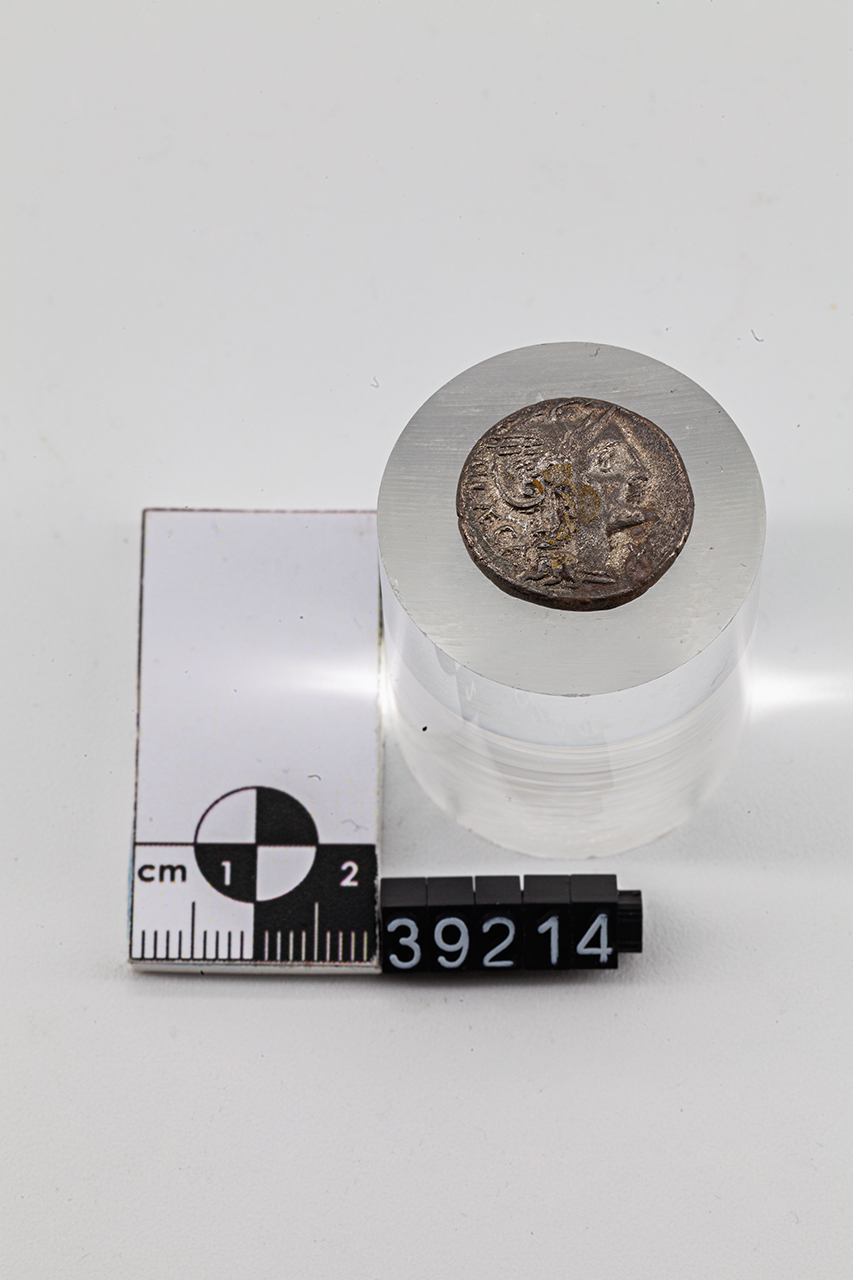 moneta - Denario (SECOLI/ I a.C)