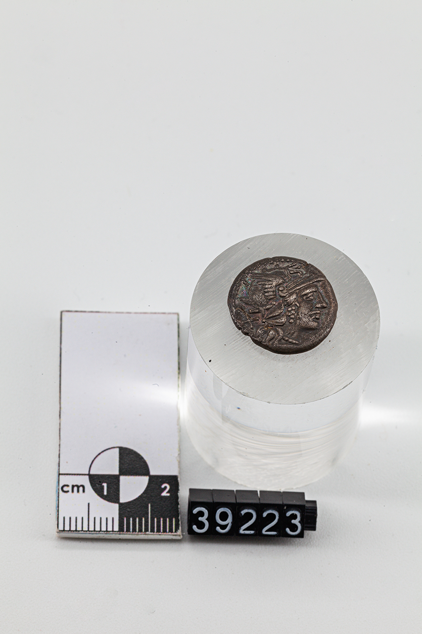 moneta - Denario (SECOLI/ II a.C)