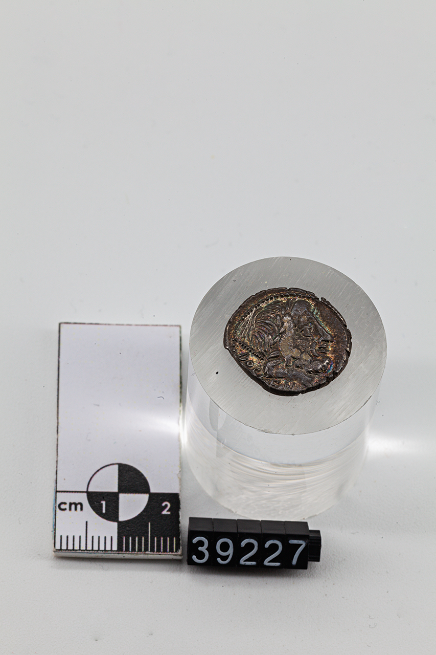 moneta - Denario (SECOLI/ I a.C)