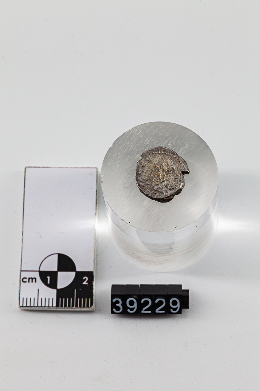 moneta - Quinario (SECOLI/ I a.C)