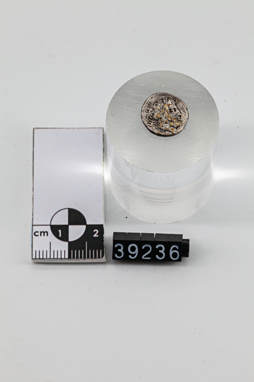 moneta - Quinario (SECOLI/ I a.C)