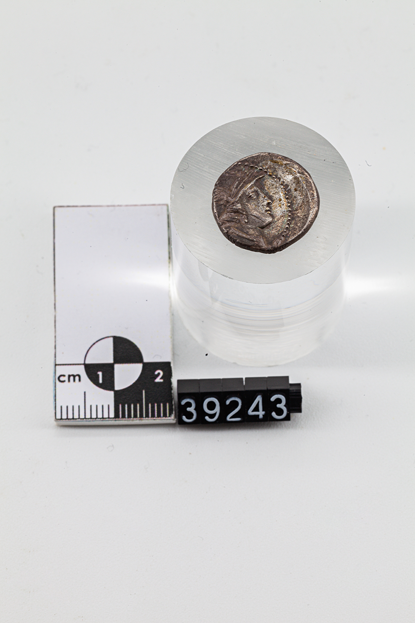 moneta - Denario (SECOLI/ I a.C)