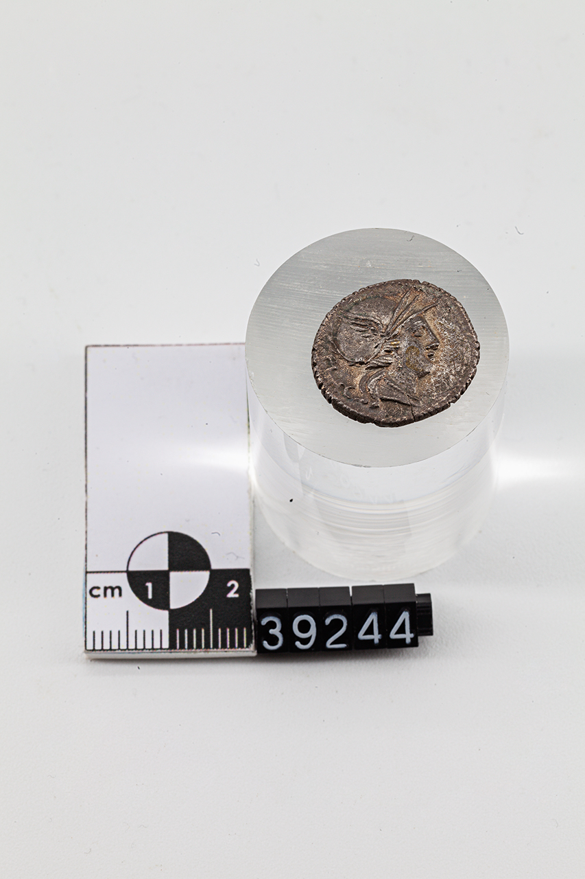 moneta - Denario (SECOLI/ I a.C)