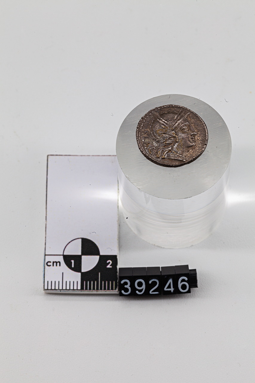 moneta - Denario (SECOLI/ I a.C)