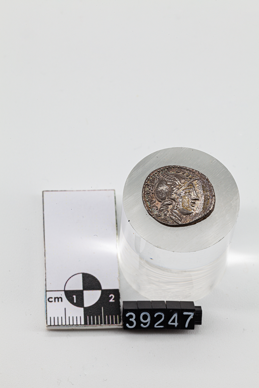moneta - Denario (SECOLI/ I a.C)