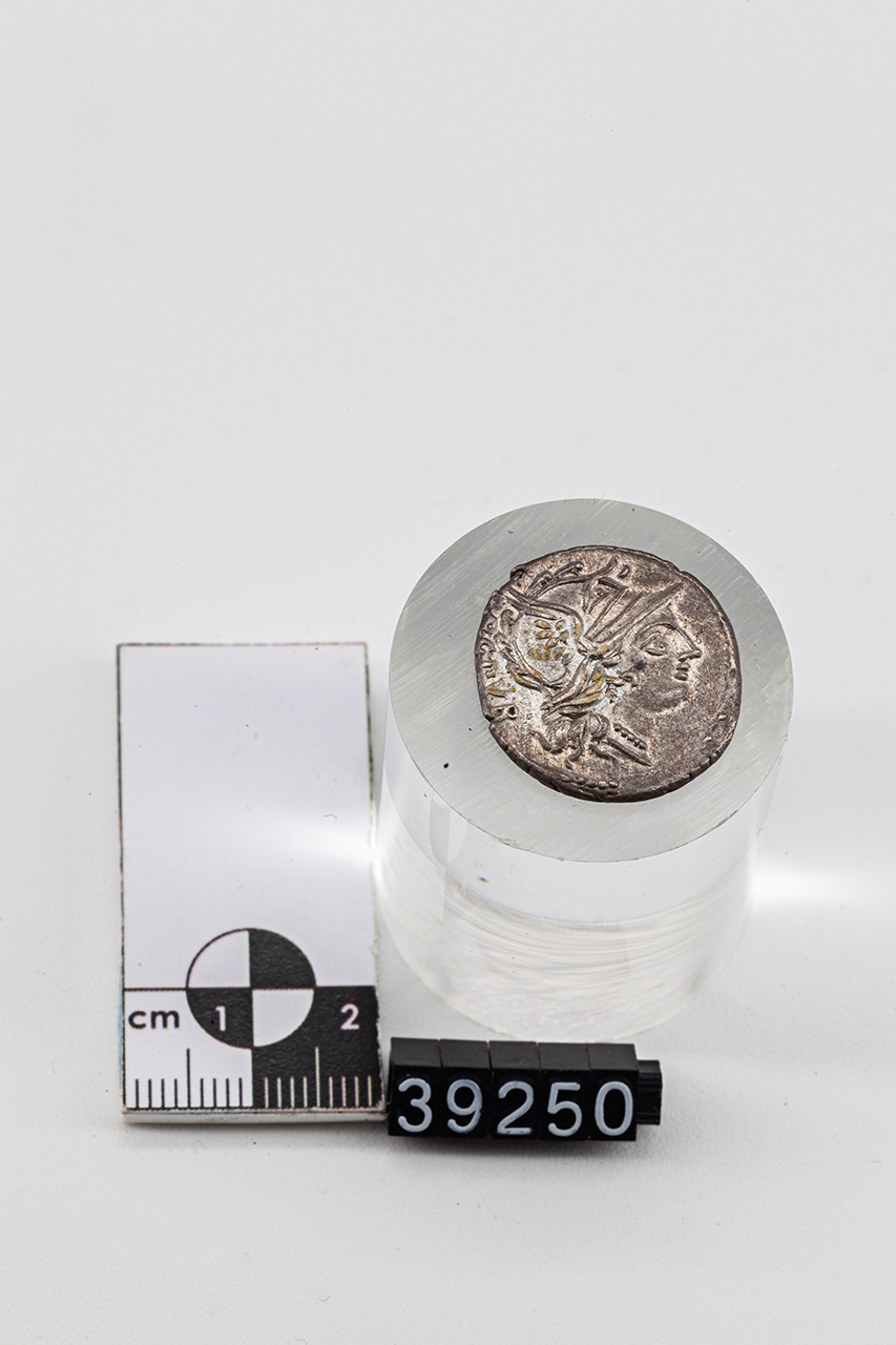 moneta - Denario (SECOLI/ I a.C)