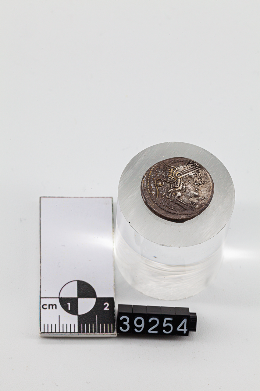 moneta - Denario (SECOLI/ I a.C)