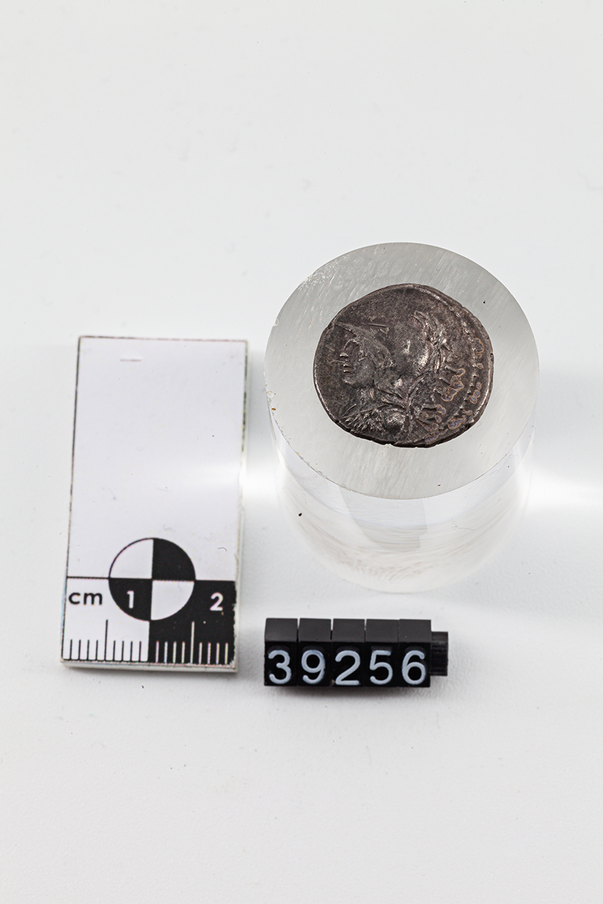 moneta - Denario (SECOLI/ I a.C)