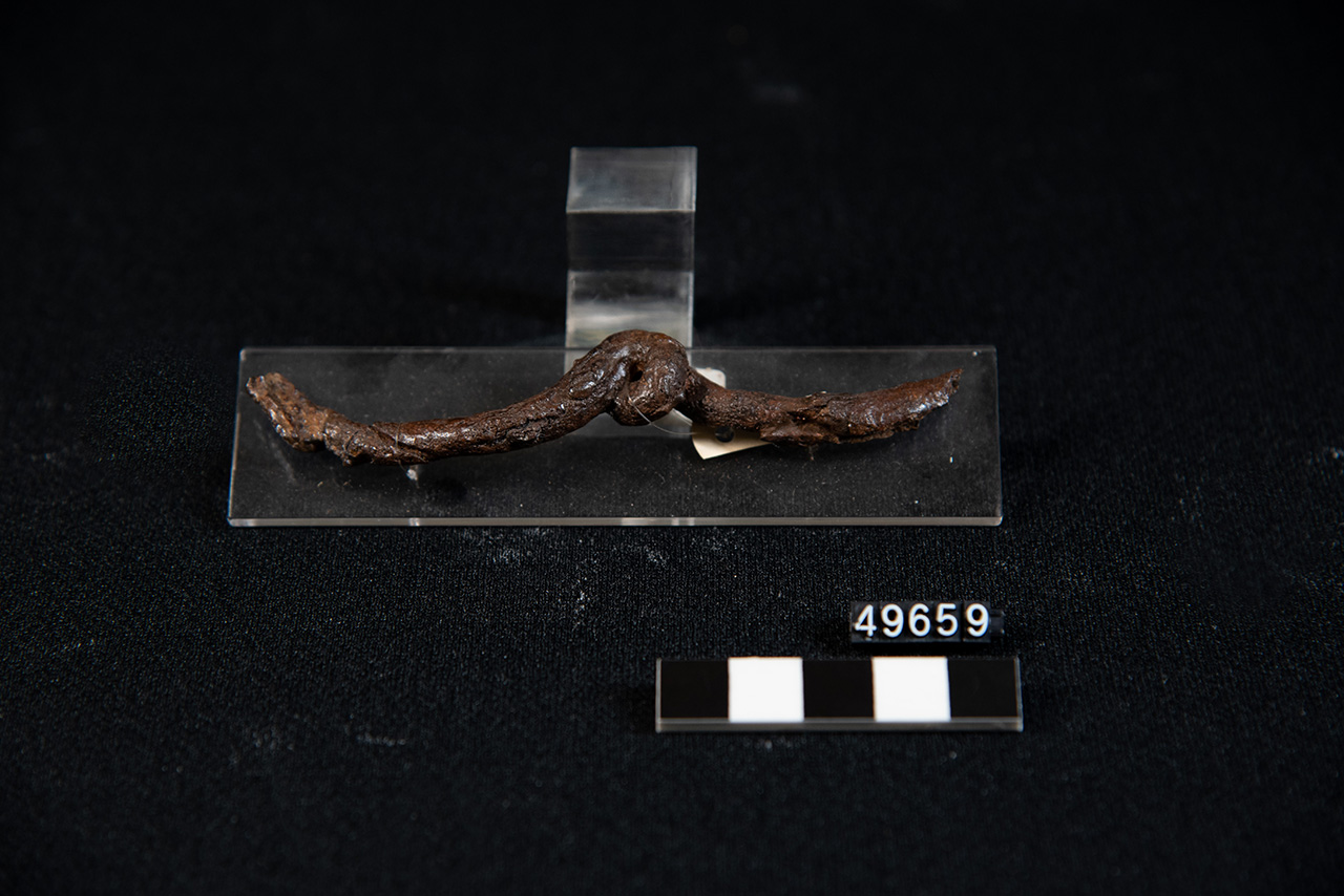 frammento di fibula ad arco serpeggiante - Produzione peuceta (SECOLI/ VIII a.C)