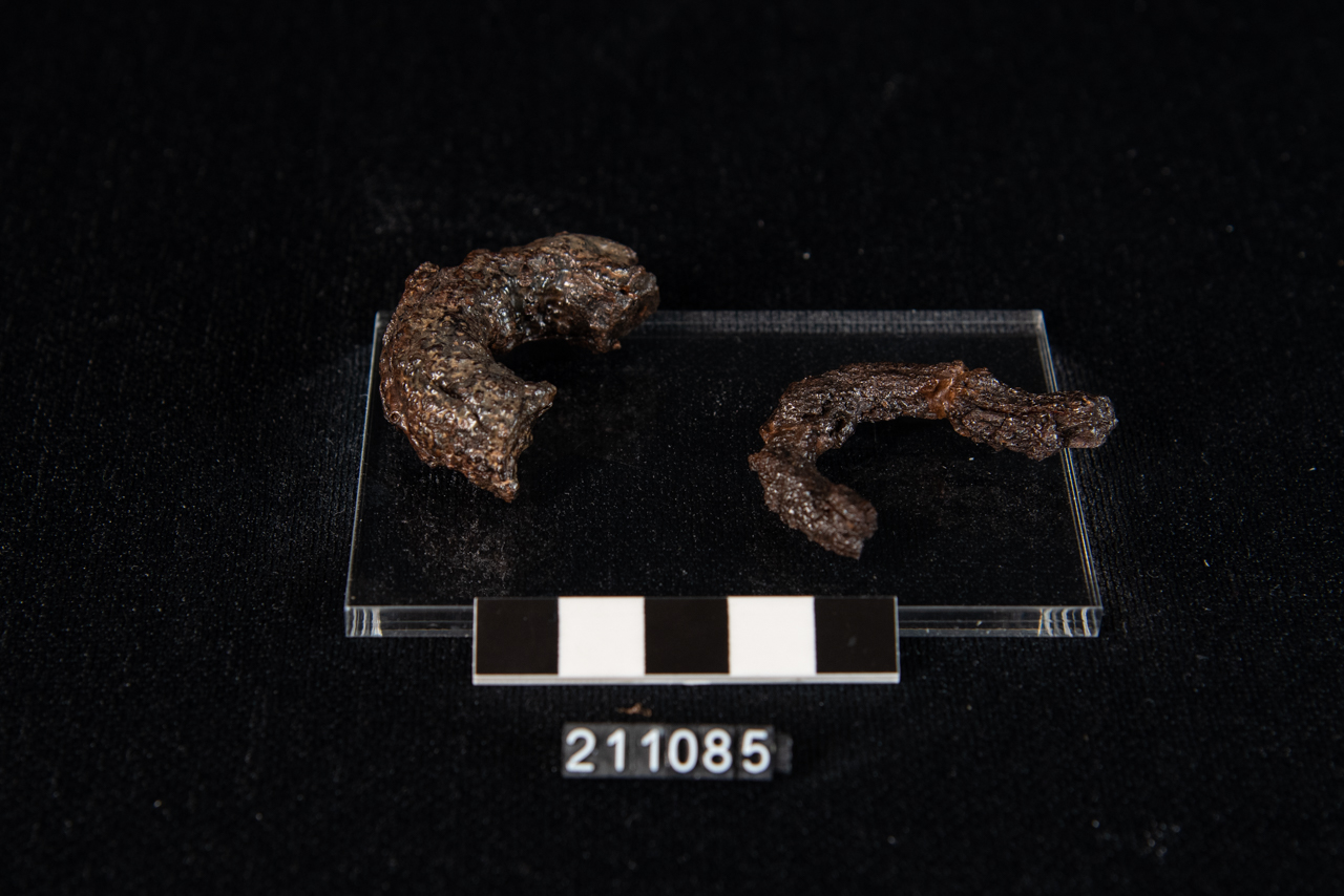 fibula - Produzione indigena (prima metà SECOLI/ VIII a.C)