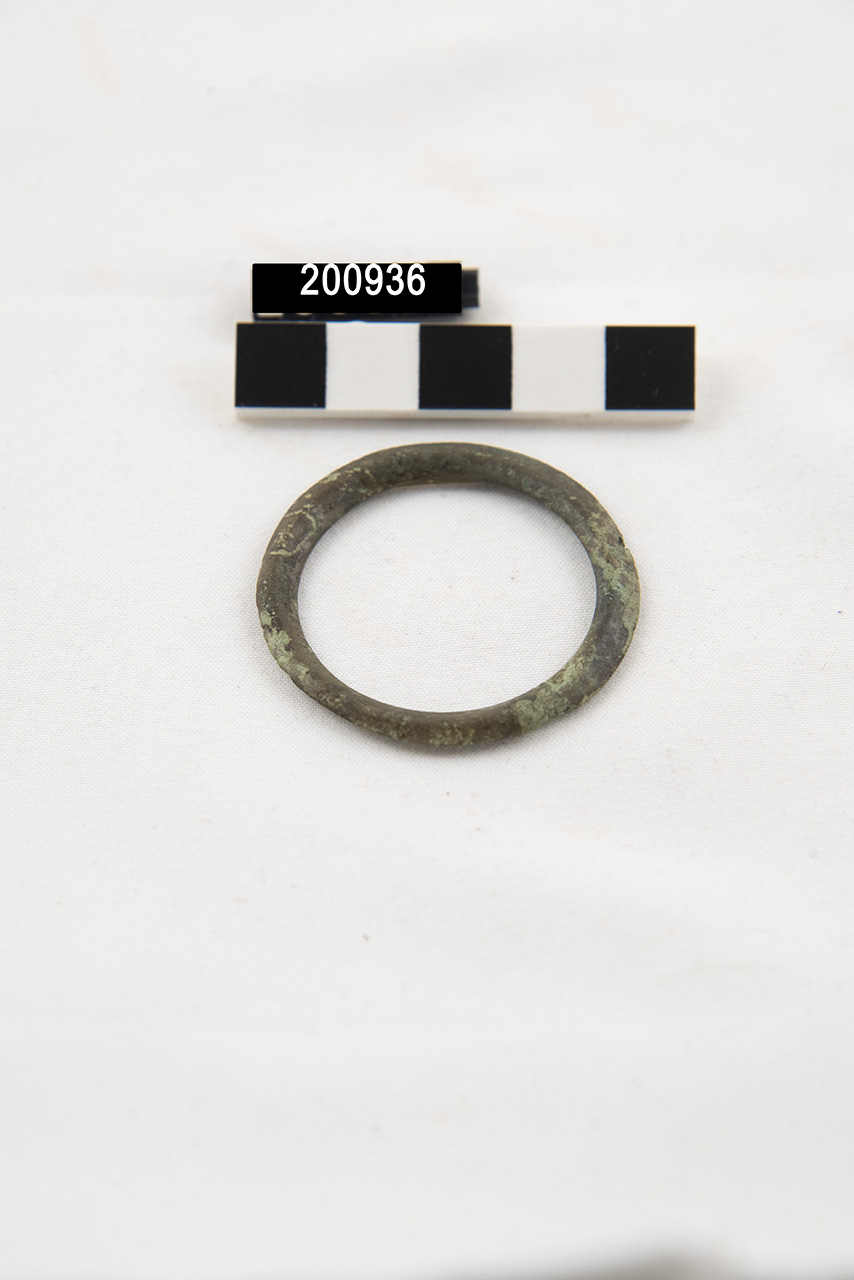 anello - produzione locale (inizio/ metà SECOLI/ IX a.C./ VIII a.C)