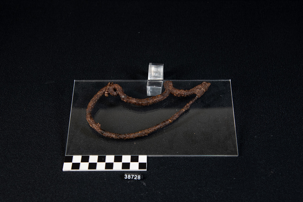 fibula/ serpeggiante - produzione locale (metà/ inizio SECOLI/ VIII a.C./ VII a.C)