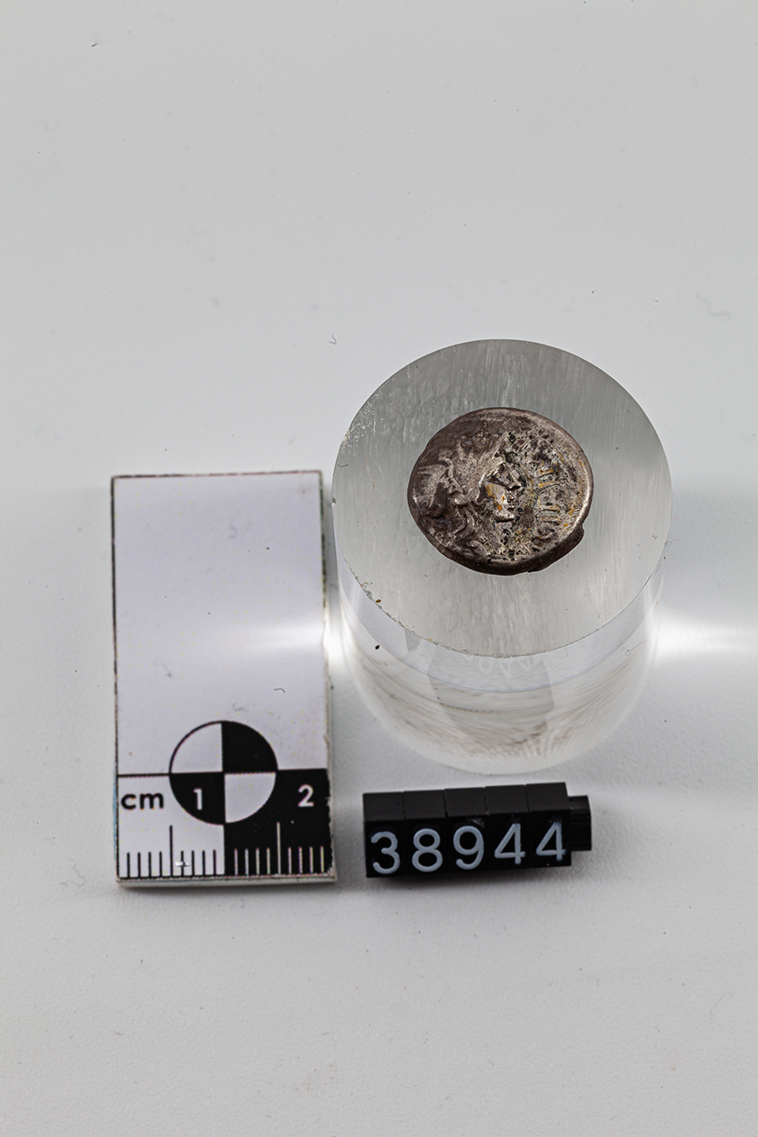 moneta - Denario (inizio SECOLI/ I a.C)