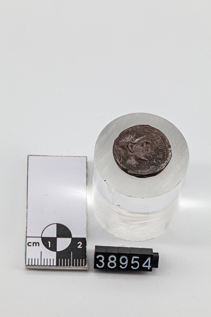 moneta - Denario (inizio SECOLI/ I a.C)