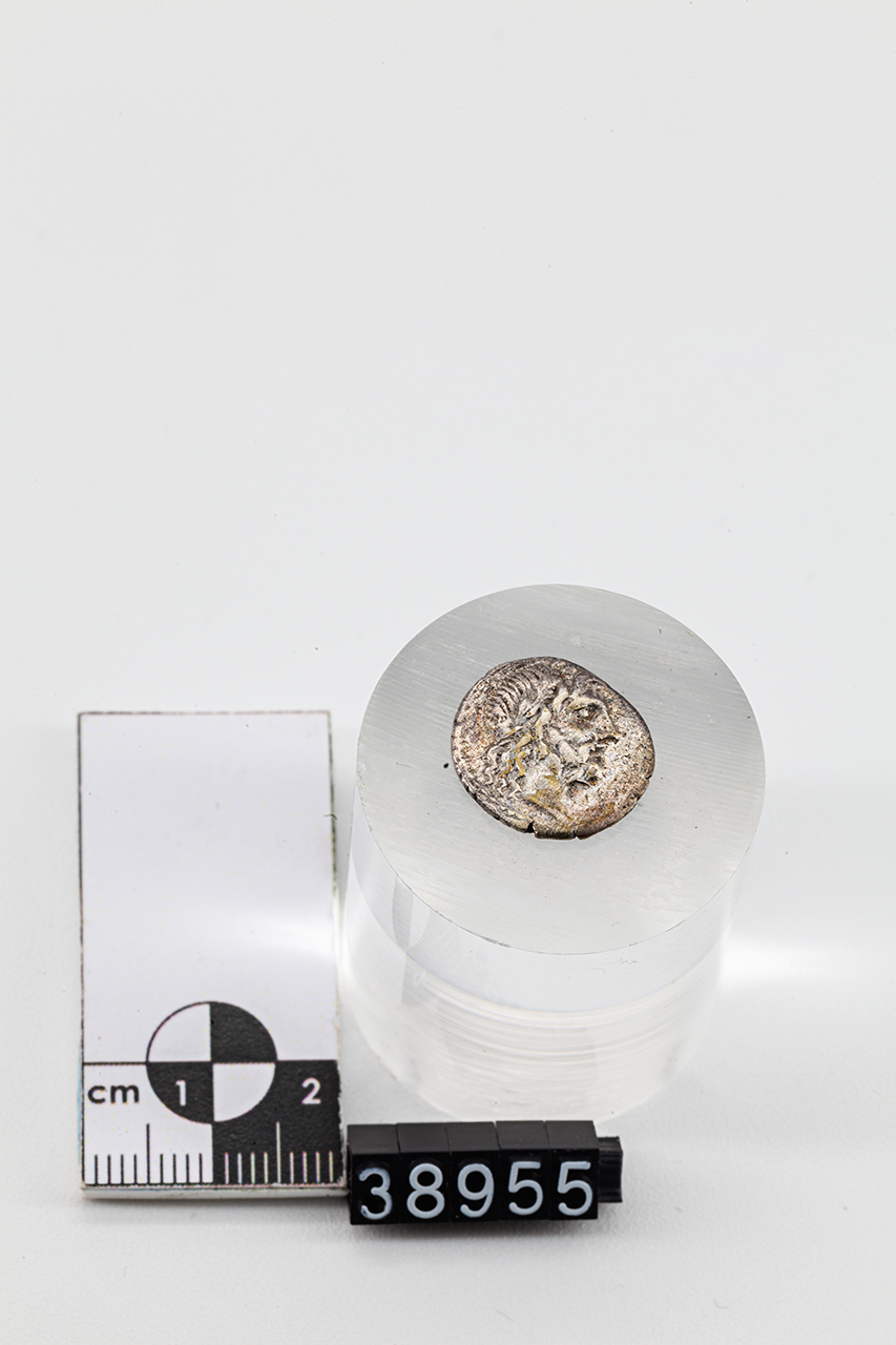 moneta - Quinario (inizio SECOLI/ I a.C)