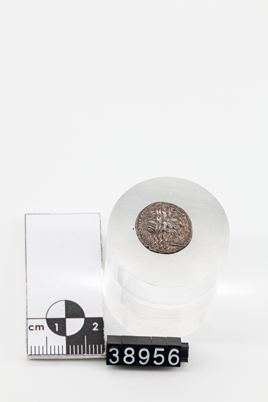 moneta - Quinario (inizio SECOLI/ I a.C)