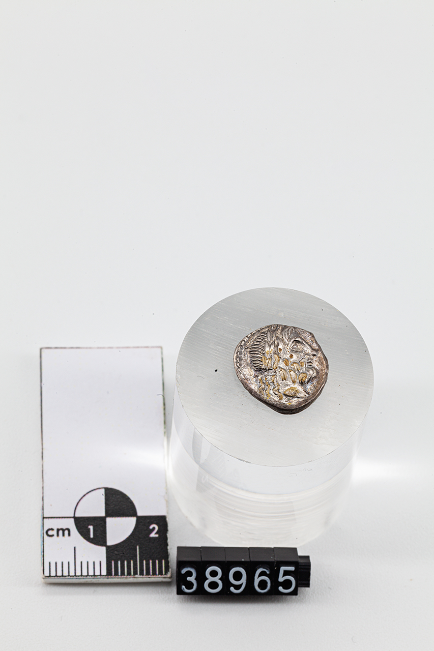 moneta - Quinario (inizio SECOLI/ I a.C)