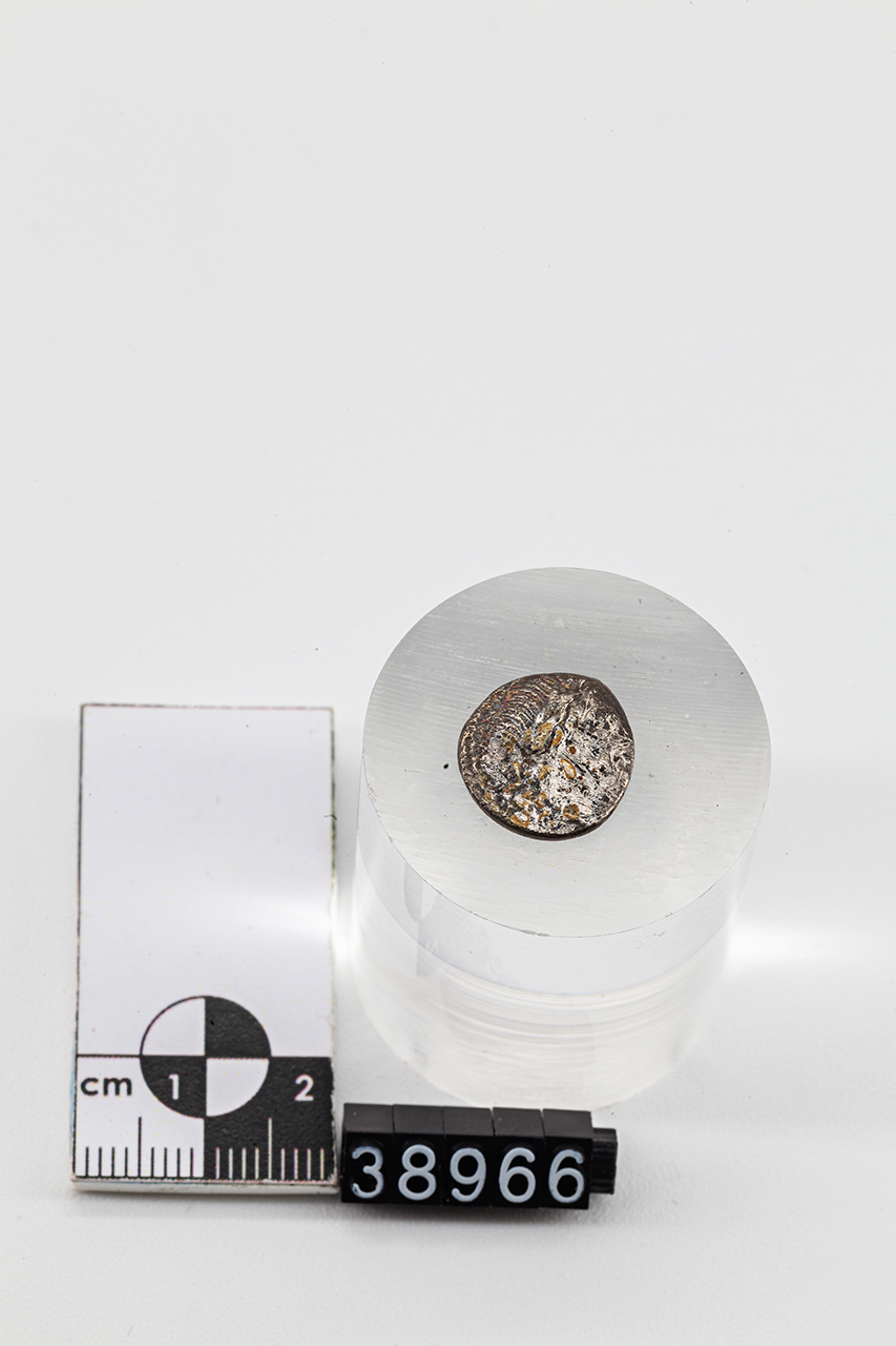 moneta - Quinario (inizio SECOLI/ I a.C)